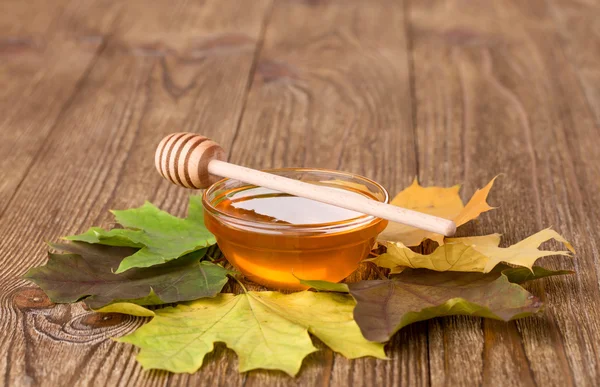 Μέλι με το ραβδί και το φθινόπωρο τα φύλλα — Φωτογραφία Αρχείου