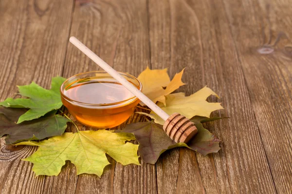 Honey  with stick and autumn leaves — Stock Photo, Image