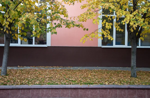 Facciata dell'edificio con due finestre bianche — Foto Stock