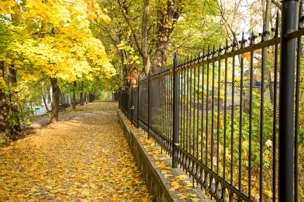 Herbstgasse mit seitlichem Zaun — Stockfoto