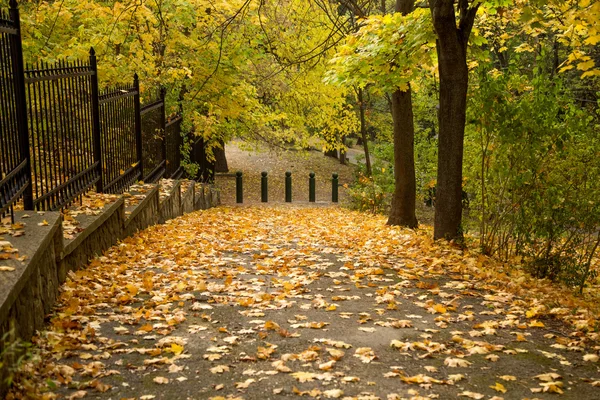 Herbstgasse mit seitlichem Zaun — Stockfoto