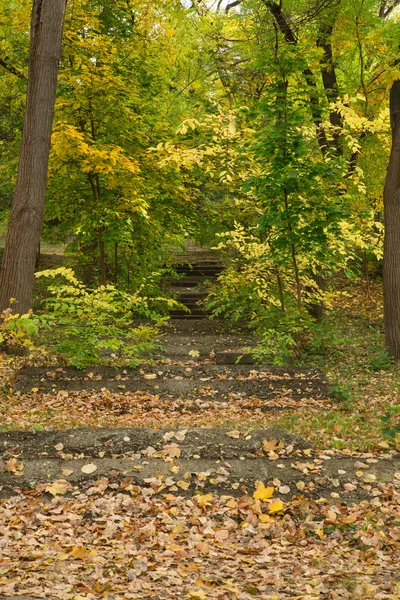 Old stone stairs in the park — Stock Photo, Image