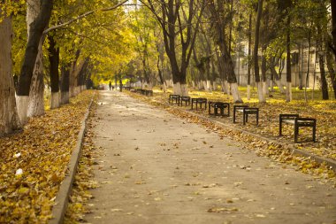 Sonbahar sakin Şehir Parkı