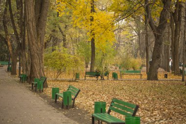 Sonbahar sakin Şehir Parkı