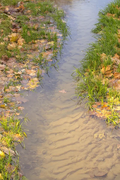 Agua clara del arroyo — Foto de Stock