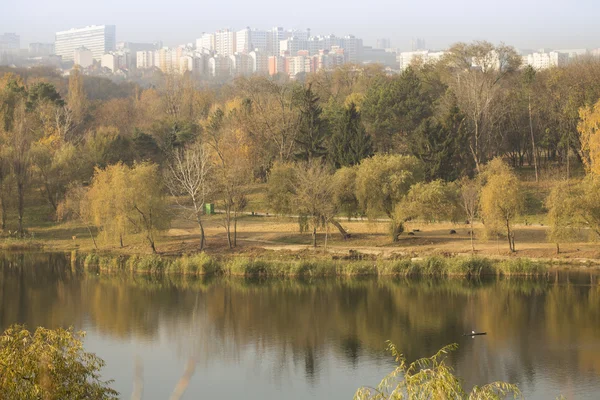 Calm lake in a mixed autumn park