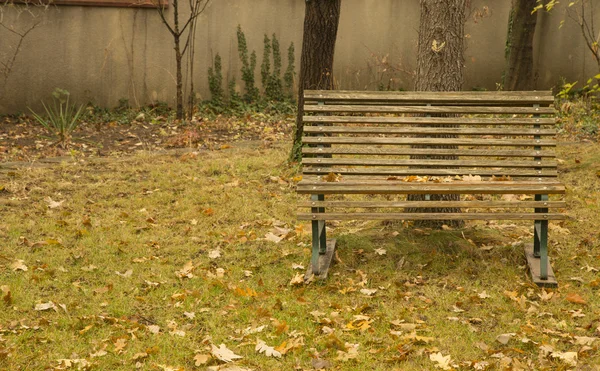 公園内の空のベンチ — ストック写真