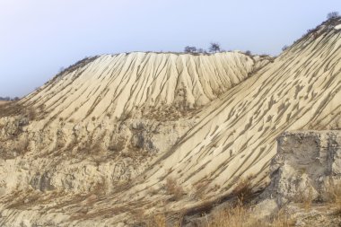 Sandy tepelerin vahşi peyzaj