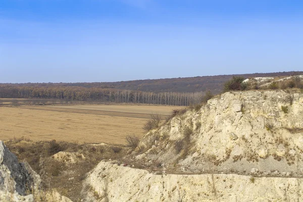 Hermoso paisaje campos bosque colina — Foto de Stock