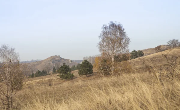 Árboles en la colina, hermoso paisaje — Foto de Stock