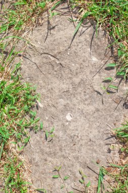 Taş çerçeve çimen  