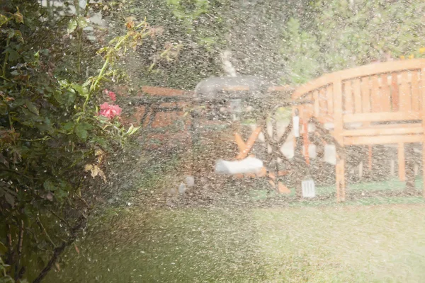Yağmurlama sulama gül — Stok fotoğraf