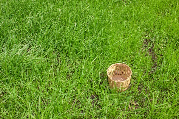 Panier tissé en herbe — Photo