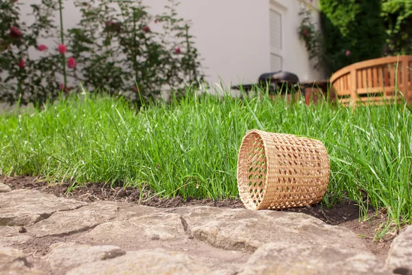 Panier tissé en herbe — Photo