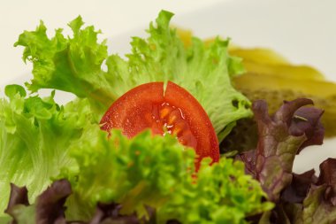 Domates ve marul portre