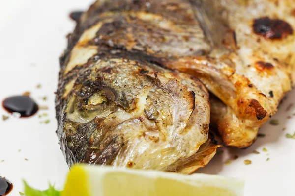 Grilled sea bass closeup — Stock Photo, Image