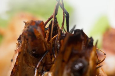 Izgara deniz ürünleri tabağı sıcak sos ile.