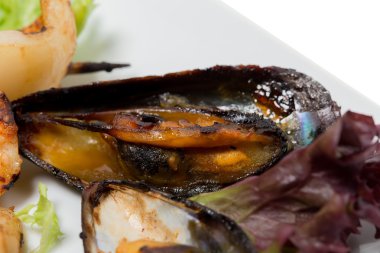 Izgara deniz ürünleri tabağı sıcak sos ile.