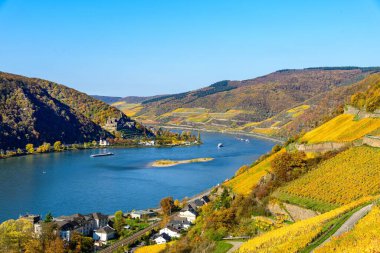 Castle burg Reichenstein, üst orta Ren Nehri Vadisi (Mittelrhein), renkli üzüm bağları, sarı sonbahar, mavi gökyüzü. Assmannshausen Rudesheim am Rhein yakınlarında, Lorch. Hesse, Almanya. Unesco