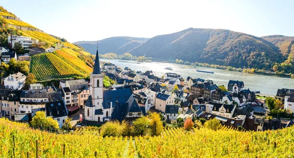 Church Houses Vineyards Assmanshausen Colorful Yellow Autumn Upper Middle Rhine — Stock Photo, Image