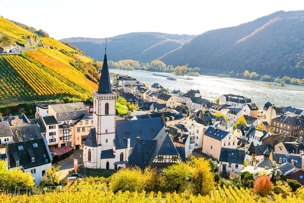 Church Houses Vineyards Assmanshausen Colorful Yellow Autumn Upper Middle Rhine — Stock Photo, Image