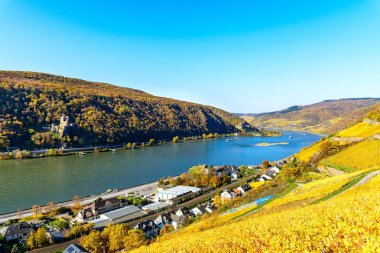 İki kale manzarası, Castle burg Rheinstein, Reichenstein, üst orta Ren nehri vadisi (Mittelrhein), renkli üzüm bağları, sarı sonbahar. Assmannshausen Rudesheim am Rhein yakınlarında, Lorch. Hesse, Almanya