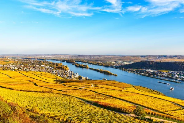 Rudesheim Rhein Górnej Części Doliny Środkowego Renu Mittelrhein Kolorowe Winnice — Zdjęcie stockowe