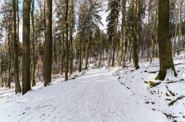 Noel zamanı. Kar, orman, doğa, Taunus dağlarındaki karlı ağaçlar (Atkonig Dağı, Feldberg) Yazan Konigstein Falkenstein, Kronberg. Frankfurt yakınlarında, Oberursel. Hesse, Almanya