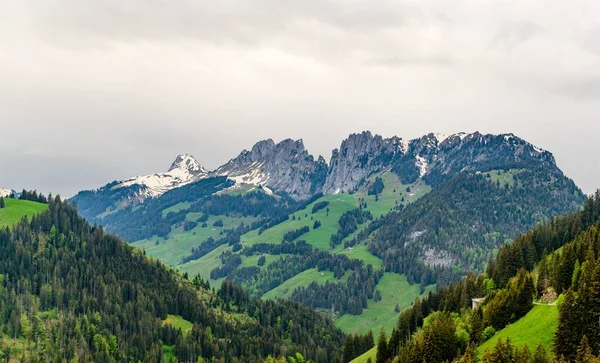 アルプスの山 緑のフィールドに表示されます カントン フリブール フライブルクの近くにWeissenbach Joun Boltigen Bulle Bern Thun — ストック写真