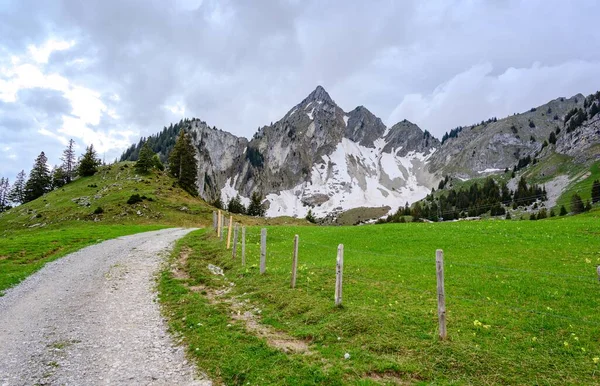 Blick Auf Die Alpen Wolkenverhangener Himmel Grüne Felder Bei Jaun — Stockfoto