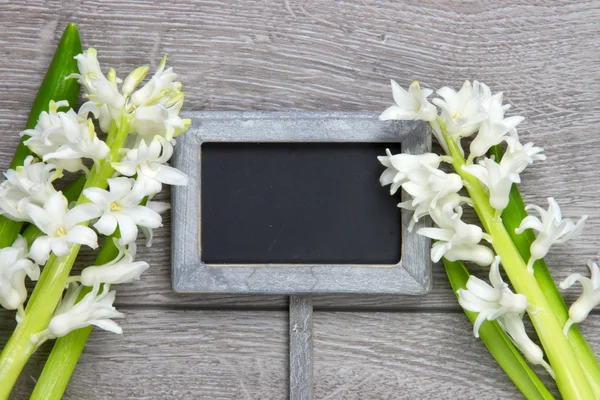 Gartenschild und zwei Hyazinthenblumen — Stockfoto