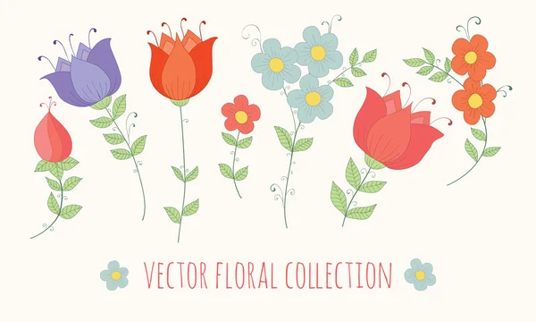 Colección floral vectorial Gráficos Vectoriales