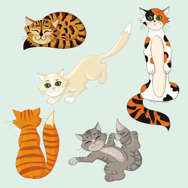 Five funny multicolored cats — Stock Vector