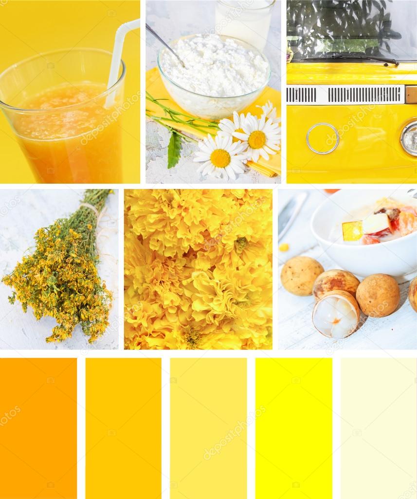 Collage of photos in yellow colors