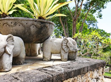 güzel çiçek yatak yatak