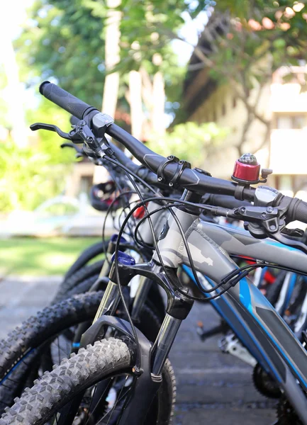 Alquiler de bicicletas de ciudad —  Fotos de Stock