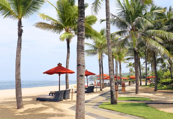 Sillas de playa en la playa — Foto de Stock