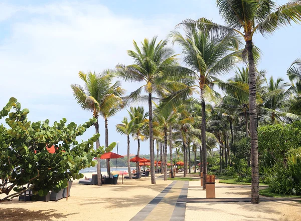 Cadeiras de praia na praia — Fotografia de Stock