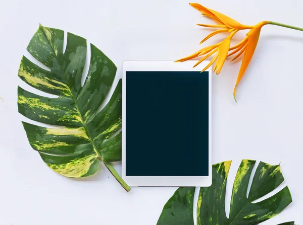 Plantas tropicales con tableta sobre fondo blanco — Foto de Stock