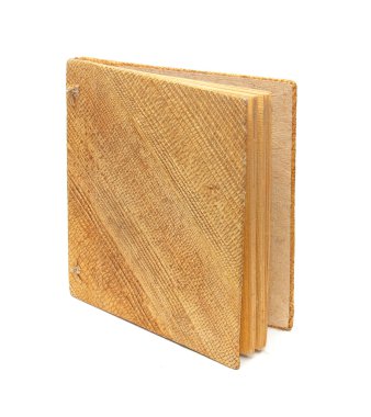 Beyaz arkaplanda izole edilmiş eski kitap