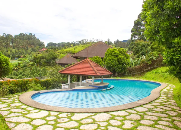 Grande piscina no jardim — Fotografia de Stock