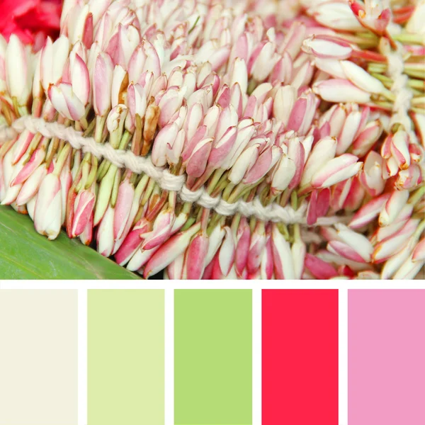 Pembe çiçekler çiçek açmış. renk paleti örnekleri