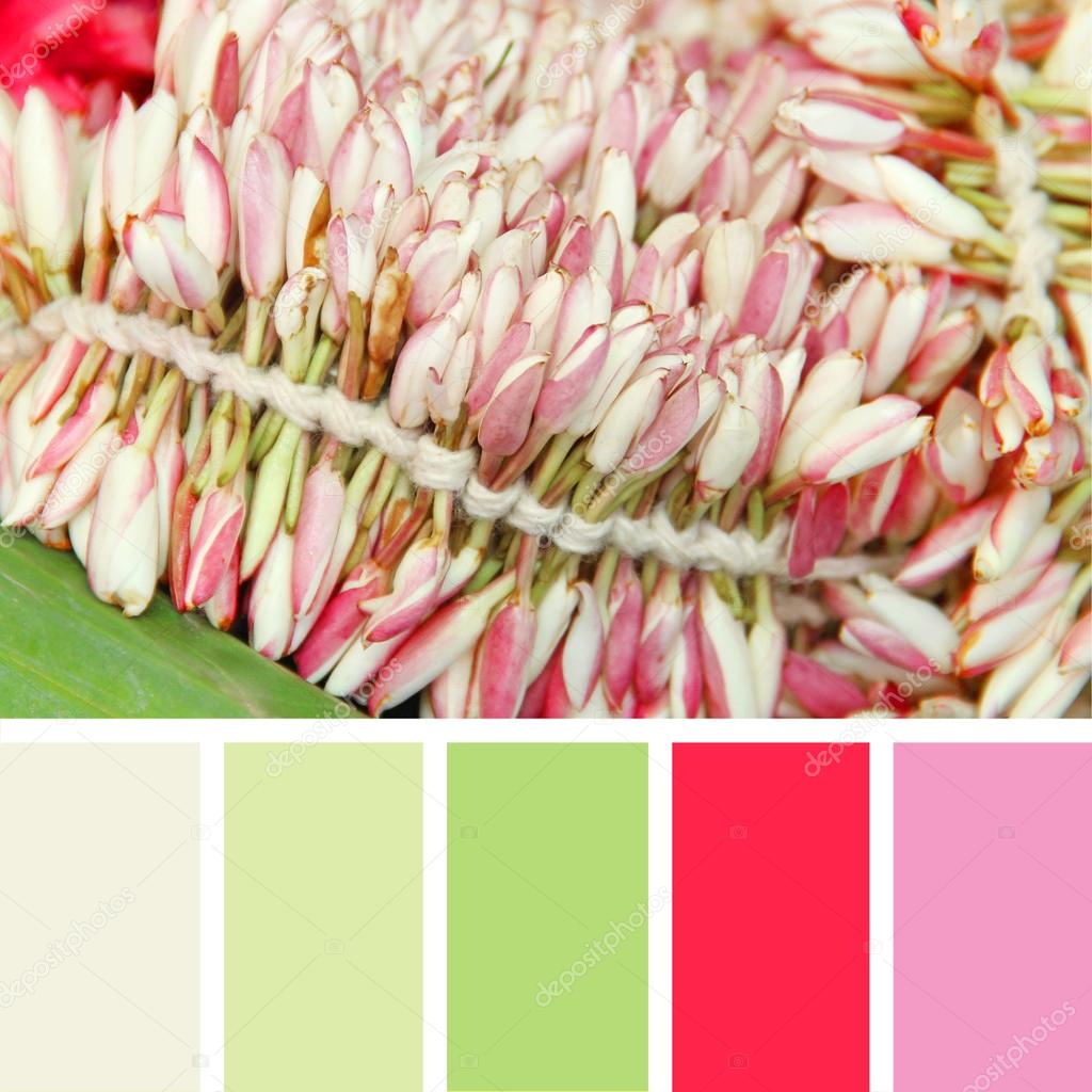 Blooming pink flowers.  color palette swatches