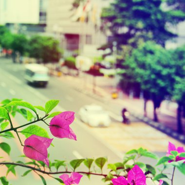 Şehir - çiçekler ve araba ile yol görüntüsü. Seçici odak