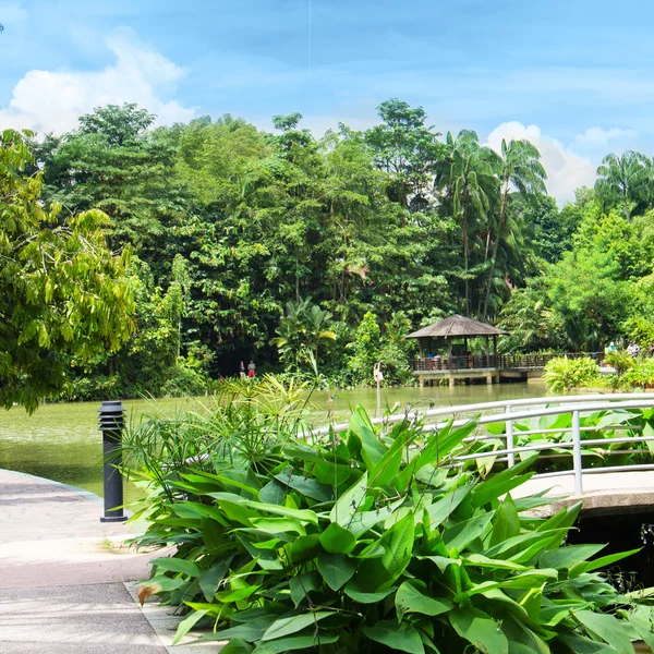 Bridge in a beautiful park in summer — Stock Photo, Image