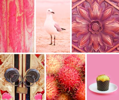 pembe renkli fotoğrafları kolaj bir