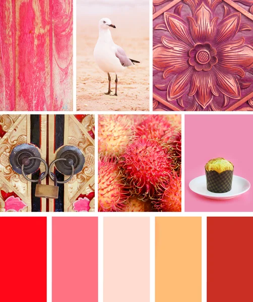 핑크 색상에서 사진 콜라주 — 스톡 사진