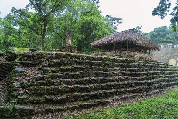 Fotografering Tagen Bonampak Chiapas Mexiko — Stockfoto