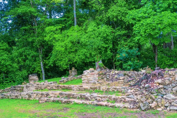 Fotografia Wykonana Bonampak Chiapas Meksyk — Zdjęcie stockowe