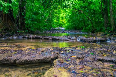 Fotoğraf ormanda çekildi Lacandona Chiapas Mexico